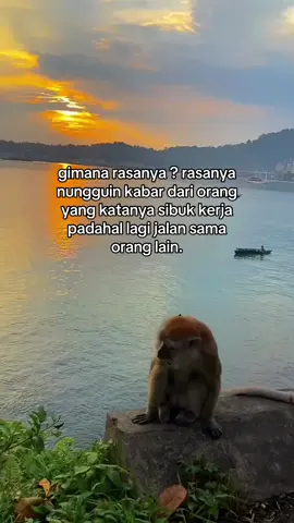 Soll matutung kannn 🥺 #batak #viral #bataktiktok #fyp #bataknese #foryoupage #bataktoba #viralvideo #fypシ゚viral 
