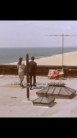 Two Weeks Notice #streamingnow #twoweeksnotice #appletv #mustwach #mustwatchmovies #movietok #filmtok #movie #movieclips #movieclips🎬 #chickflick #romance #drama #dramedy #comedy #movienight #movierecommendation #fy #fypage #hughgrant #sandrabullock 