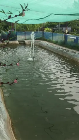 คลิปขายแปลง 1