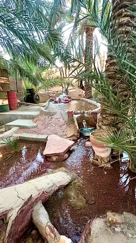 #الطبيعة_والجمال #المذاق_الريفي #الجمعه #الجمعة 