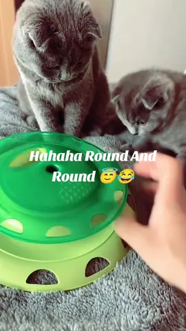 Hahaha Round And Round 😇😂🤣 | Funny Videos | Unlimited Fun | Daily Fun Dose...  #funnyvideos #funny #funnyvideo #fun #unfreezemyacount #viral #foryou #trending 