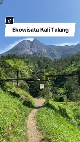 Tempat tracking terbaik di perbatasan Klaten-Jogja.. Cuma 5 menit jalan, kamu sudah bisa menikmati keindahan alam seperti disini!! #kalitalang #CapCut #Hiking #tracking #fyp #fyppage #infowisata #wisatajogja #wisataalam #merapi 