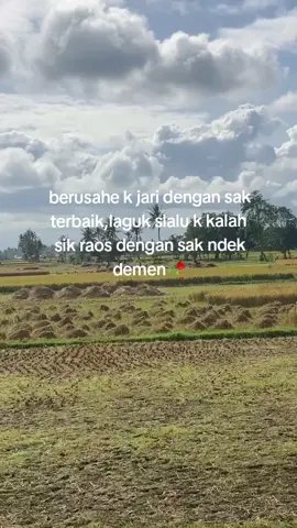 🥹#storylombok🌴 #viralsasaklombok🤣 #katakatasasaklombok #bismillahfypシ #sasaktulen🙂❤️ 