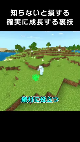 知らないと損する大木へ狙って成長させる裏技！？ 【豆知識 解説 裏技】  #Minecraft #マイクラ #めるくん 
