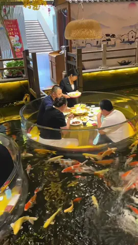 可以坐在水中吃饭的餐厅 📍美食乡 (保府市集店)，保定市，河北省 📍Meishixiang, Baoding City, Hebei Province #水上餐厅 