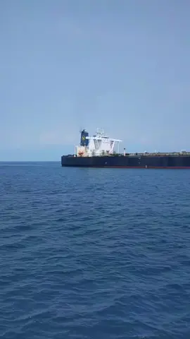 Ijin🫡⚓️#poltekpelsulut⚓ #ratingdeck#pelautindonesia#pelautpunyacerita 