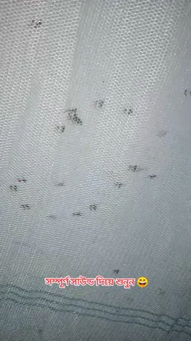 মশার ডাক #মশা #funny #viralvideo #trendingvideo #tram07 #account #unfrezzmyaccount #foreyou #foreyoupage #grow #fyp #bdtiktokofficial #bangladesh 