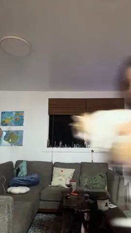 I just saw the new movie and could only think about how fast my animals would be snatched