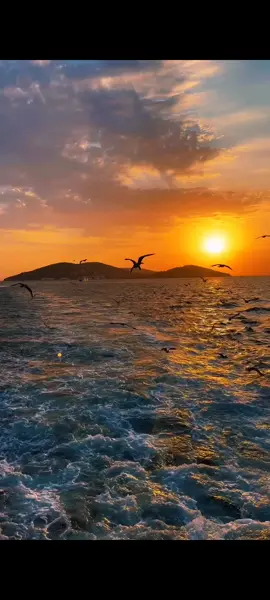 🎤Madrigal- Seni Dert Etmeler #music #müzik #musically #müzikdünyası #pov #pop #video #pop #istanbul #turkey #keşfetteyizzz #kesfet #keşfett #keşfet #madrigal #manzara 