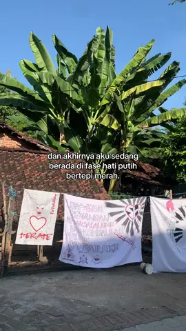 Hemmm #fyp #psht #flagterate #pshtponorogo #pshtpusatmadiun #fypage 