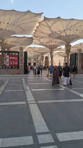 Suasana pagi dpn gate 338 Masjid Nabawi #hajj2024 #madina #makkahmadinah🕋 