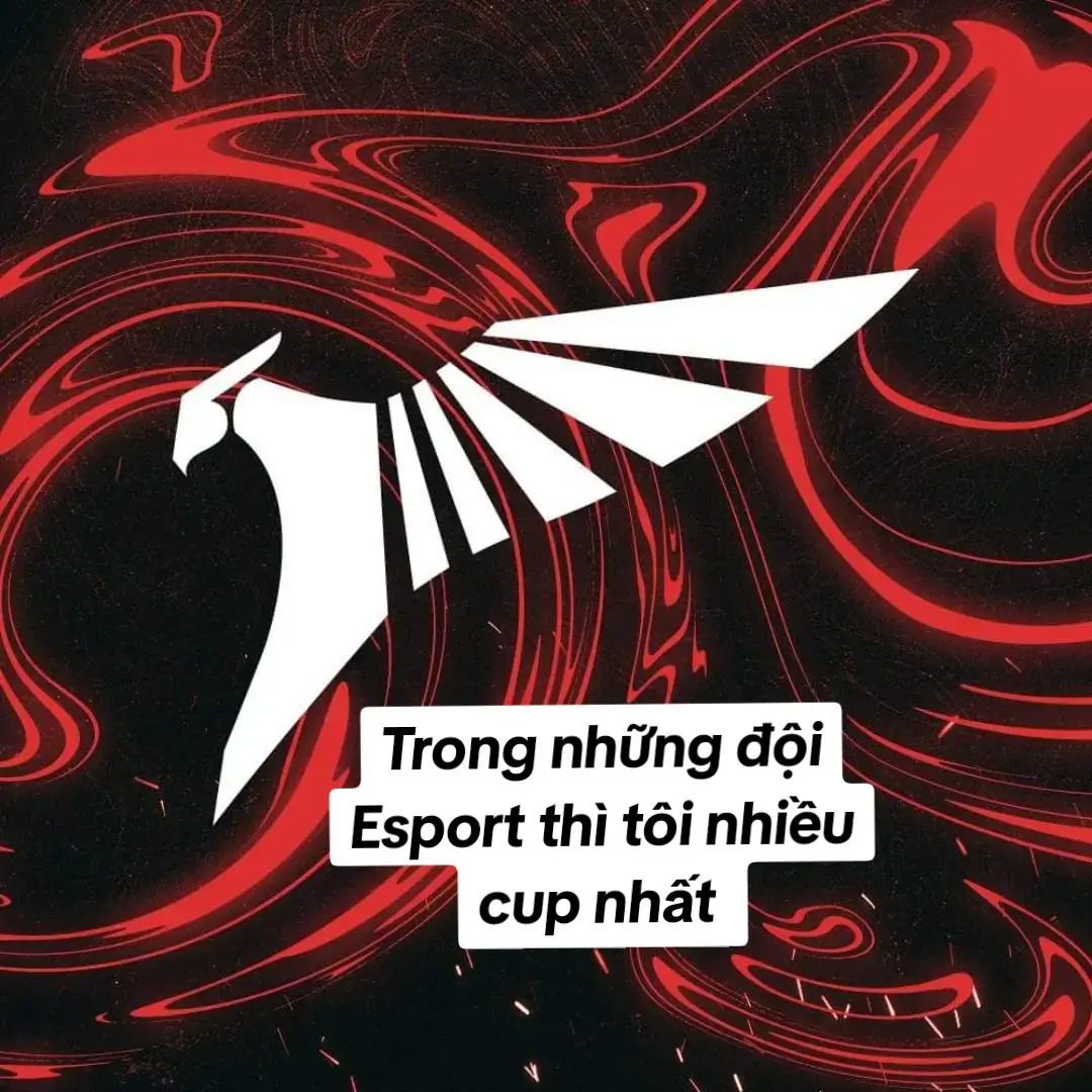 Trong Esport Team Flash là đội thành tích các môn rất khủng khiếp #teamflash #aog #garenarovthailand #dautruongdanhvong  Bây giờ FL +1 cup FF và FL Valorant. +1 Cup ESL và nhiều cup khác nữa. FL LÀ 1 ĐỘI TUYỂN ĐA DẠNG CUP VÔ ĐỊCH
