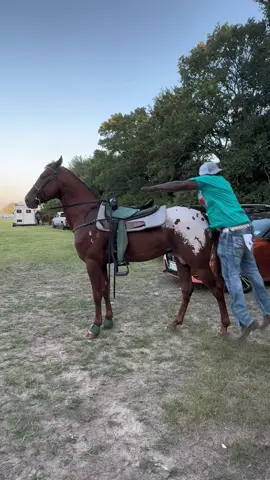 #fy #fypage #horse #appaloosa #trailride #mississippitrailriders #txtrailride #horselovers #blackcowboy #saddleclub #ebonyhorseman 