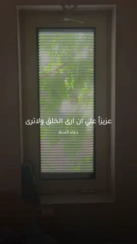 عزيزاً عليّ😔 #دعاء_الندبة #جمعة_مباركة #الجمعة #دعاء #ادعية #عبد_الحي #عبد_الحي_قمبر #يامهدي #المهدي #الامام_المهدي #محرم #اكسبلور #كربلاء 