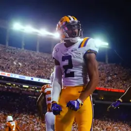 2019-2020 lsu owns this song #fyp #viral #edit #football #cfb #lsu 