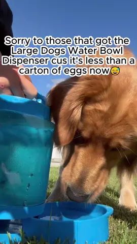 Go shop!!!! The link will be under this video!! #fypageシ  