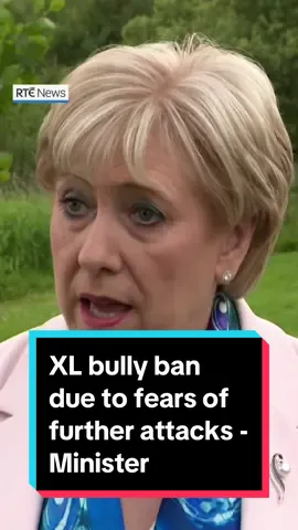 Minister Heather Humphreys has announced new regulations to be introduced later this year that will ban XL bullies in Ireland. The first phase of Ireland’s XL bully ban will commence on 1 October 2024.  It will be illegal to breed, sell, rehome or import XL bully dogs. The second phase will be introduced on 1 February 2025. This will see a ban on owning an XL bully dog, unless the owner has a Certificate of Exemption. The certificates will only be issued to owners who can prove their dog has a licence, is microchipped and is neutered. 📲Link in bio for more #xlbully #xlbullies #ireland #dog 