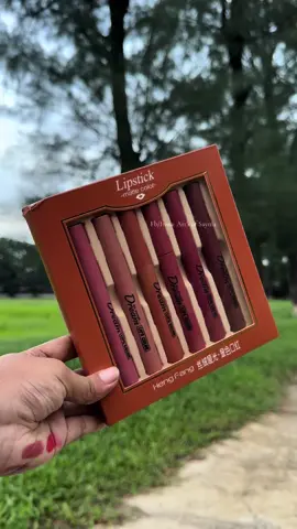 Hengfang Semi matte Lipstick set 🫶🌸#foryoupageofficiall❤️❤️ #viralpost2024 #viralvideo #fypシ゚ #lipstick #fypシ゚viral #lipstick #hengfanglipstick #hengfang 