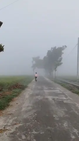 Alam pun bertasbih kpd Nya Al Isra 44 . Suasana pagi hari di kampung halaman #jawatengah #latepost #suasanapagi #kabut #sragen #misty #abuabu #sejuk #pagi #embun #sepeda #alam #sawah #padi #sembako #sembakomurah 