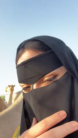 #الامارات_العربية_المتحده🇦🇪 #هجن_العاصفه #الشعب_الصيني_ماله_حل😂😂 #الامارات_السعوديه_الكويت_البحرين_عمان #الجالية_المغربية_في_كل_مكان🇲🇦🇲🇦 #العين💜 #اكسبلورexplore #اكسبلور_تيك_توك #البدو_عز_وفخر #viral #المغرب🇲🇦تونس🇹🇳الجزائر🇩🇿 #fupシ 