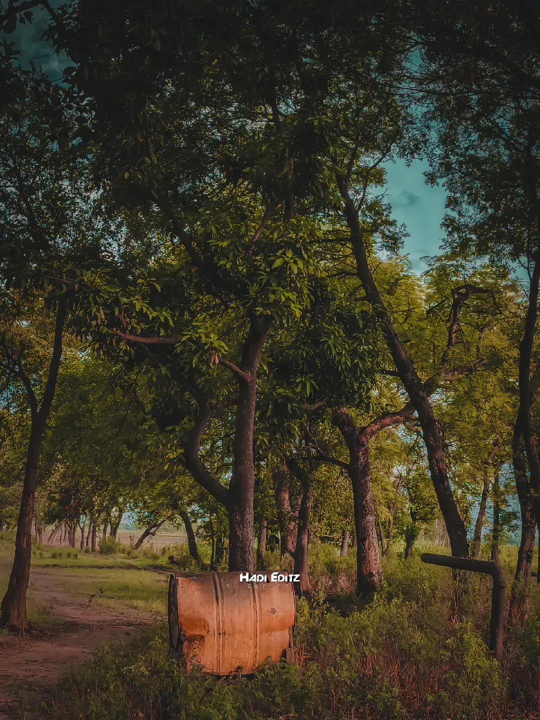 گـاوں📸 Presets Available ❤️  #hadieditz0001 #hadieditzcapcuttutorial #onthisday #hammadlightroompresrts #hadieditzpresets 
