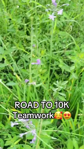 ROAD TO 10K Teamwork🥰😍 #Teamwork#10k#roadto10k#followtrain#followe 
