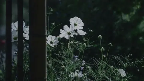 #Abduvali qoraka rohimahulloh