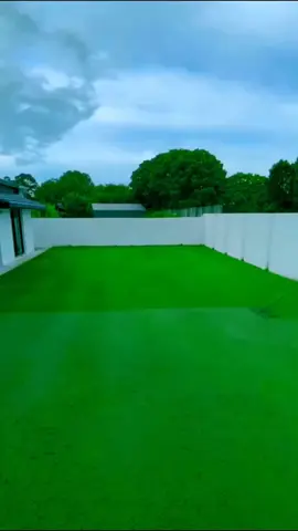 Relax and Enjoy 🧘‍♀️🍀 #garden #gardening #satisfying #cleaning #hedges #viral #asmr #relaxing #fypシ #fyp #usa 