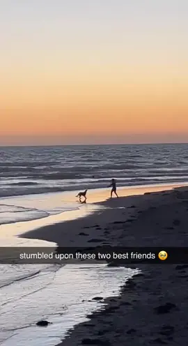 This is so wholesome 🥺❤️ (via @angelagunness/IG)