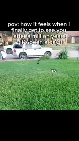 Miss u 🥺 #bf #boyfriend #lol #lmao #viral #Love #couple #gf #Relationship #cat #catmemes #relatable #girlfriend #trend