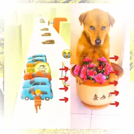 #pets #cute #tiktok#disableddog