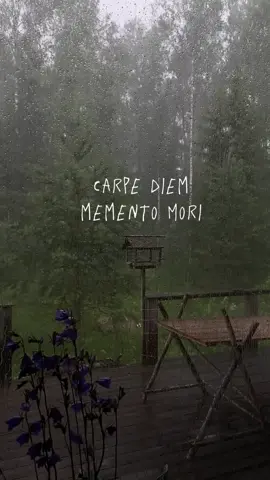 #carpediem #mementomori #hazquevalga #estoicismo #frugalliving #slowlife 