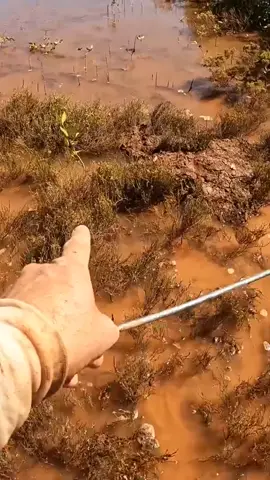 #bushcraft #fishing #fishtok #foryou #survival #viralvideos