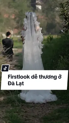 Firstlook dễ thương ở Đà Lạt #2Aproduction #wedding #weddingtiktok #weddingday #weddingdress #đámcưới #đámcuoi 