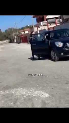 questo posto mi ricorda una persona #piecurosa #carminedisalvo #rosaricci #marefuori5 #fyp #ilcomandante 