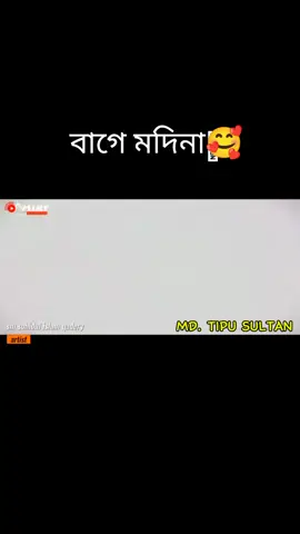 বাগে মদিনা🥰#💝💝 #tipusultanmd🥰 #fyp #viralvideo 