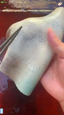 máy nhổ lông lợn #maynholong #maynholonglon #maynholongvit #maynholongmang #xuhuong 