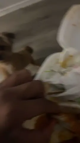 @E’Niya dog Hungry