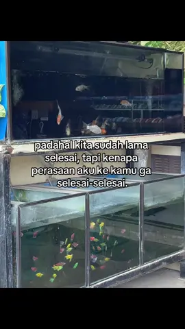 #galaubrutal #xybca #foryou #lewatberanda #fyp