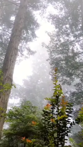 #fyp #christiantiktok #christianity #bible #pray #jesus 