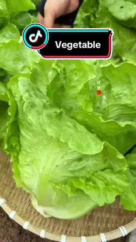 Chỉ cần đẩy cửa là có thể hái rau tươi trong sân nhỏ thật tiện lợi #tráicâysạch #Mùahoaquả #fruitfarm #raucuqua 🥦🍋‍🟩🥕🌽🌶️