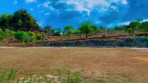 #cinematic hasil tutor langsung eksekusi🍃