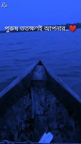 পুরুষ ততক্ষণই আপনার যতক্ষণ পর্যন্ত সে রাগ করবে শাসন করবে #tiktok #foryou #tiktokbangladesh 