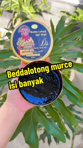 Beddalotong ogi wajo ratu ds #beddalotong #beddalotongratuds #wibgajian #promoguncang77 