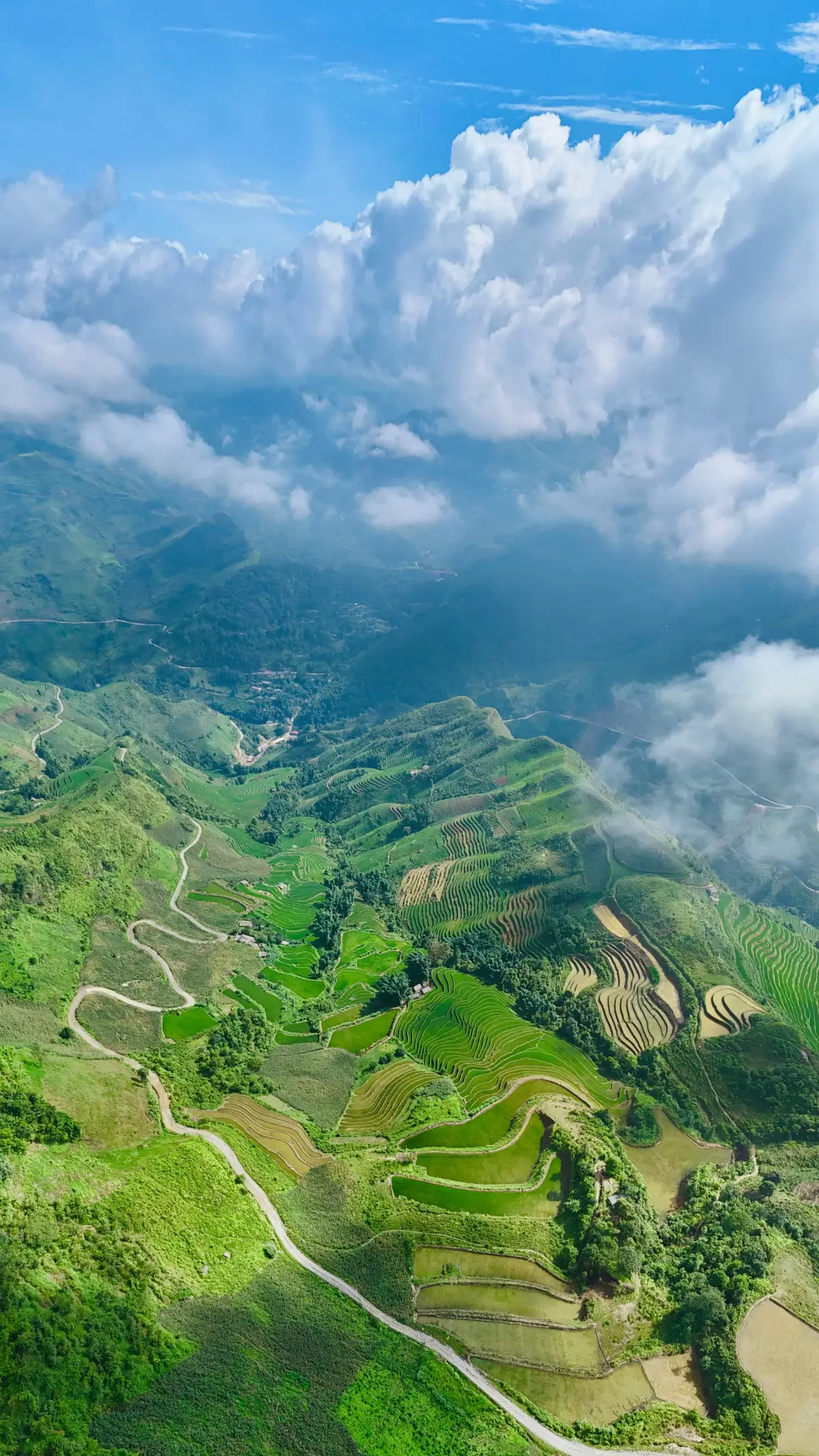 Mùa hè trên Cai Nguyên Trắng Bắc Hà .#nkaujkhosiab #canhdep #binhyen #canhdepvietnam #nguoivungcao #cuocsongvungcao #taybac #nhipsongtaybac #flaycam4k 