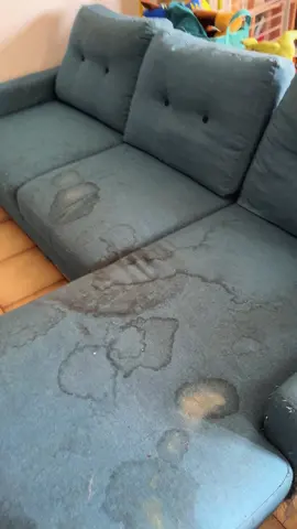 #nettoyage #nettoyagecanape #canape #sofa #cleaningtiktok #CleanTok #nicefrance #clean #sofacleaning #Home #accident #satisfying #avantapres #beforeandafter #viralvideo #france #pet #chat #cat 