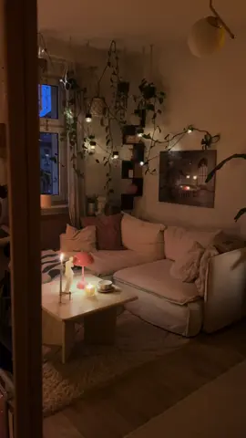 Home❤️‍🩹🐈💫