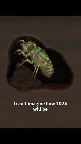 art by me🤎 (this is not about cicadas) #artist #piperzy 