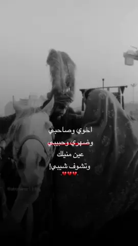 اقتربت ليله السابع ومعها يتمزق قلبي بفراق العباس ع 💔😭#7_محرم #استشهاد_الامام_العباس💔عليه_السلام💔😭 #عاشوراء_الحسين #محرم #مسلم_الوائلي #سيد_فاقد_الموسوي #باسم_الكربلائي #اللهم_عجل_لوليك_الفرج #لطميات #ستوريات #تابعني_متخسر_شي_🔴❤️‍ 