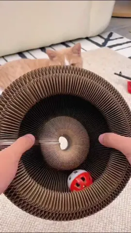 Magic Organ Cat Scratching Board#cattoys #petsupplies #catlover #catlife